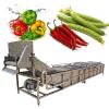 Промышленная стиральная машина для фруктов и овощей