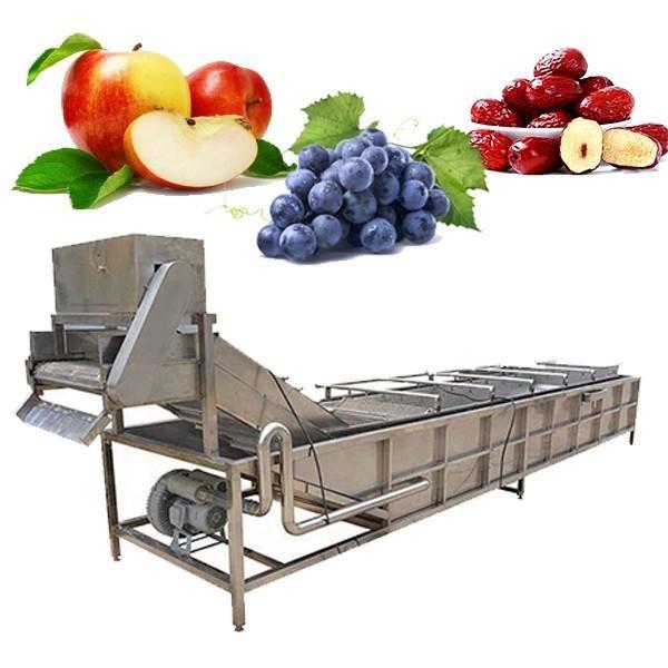 Промышленная стиральная машина для фруктов и овощей #2 image