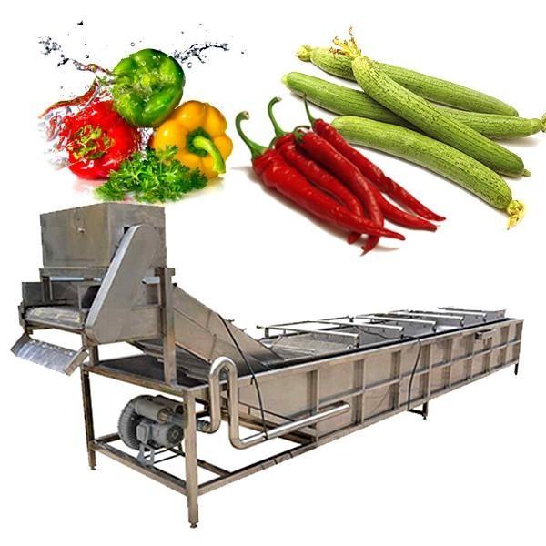 Промышленная стиральная машина для фруктов и овощей #1 image